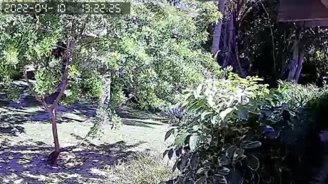 Pousada Vila 因巴塞 外观 照片